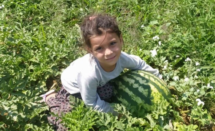 Sarıgöl’de kavun karpuz bereketi