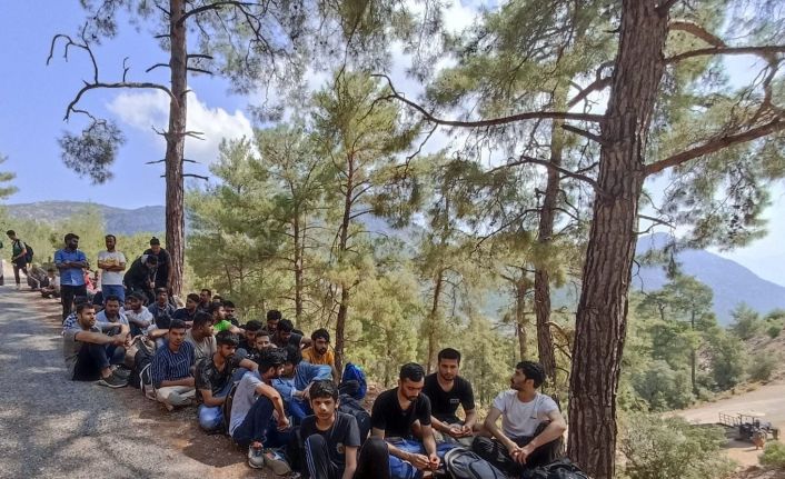 Seydikemer’de ormanlık alanda 89 düzensiz göçmen yakalandı