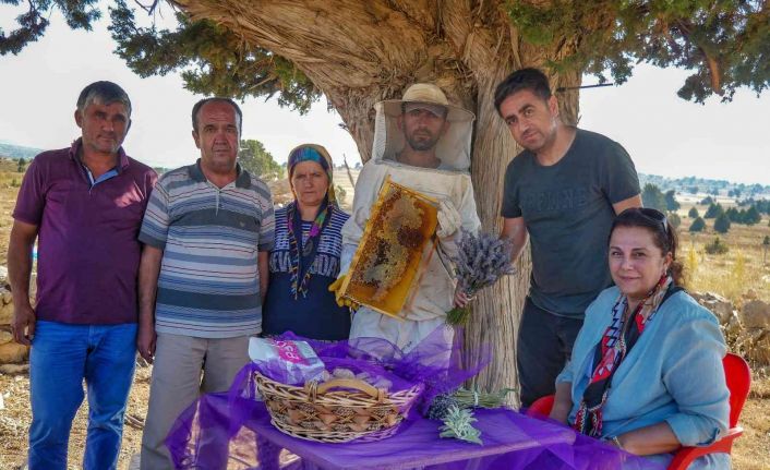 Silifke’de lavanta balı üretimi yapıldı