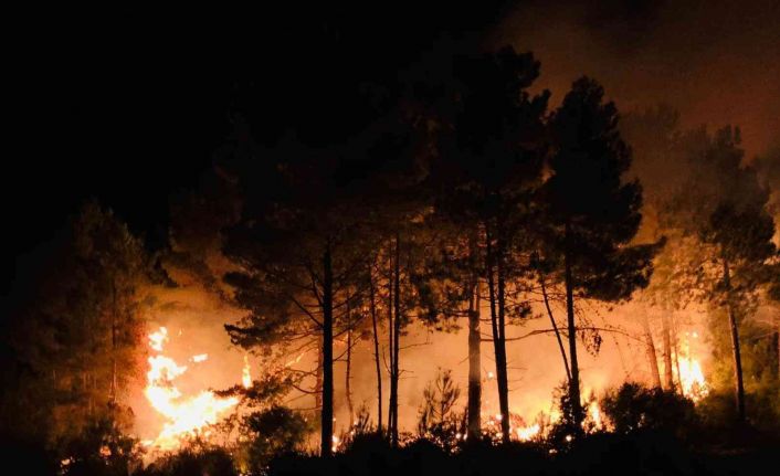 Sinop’un Gerze ilçesinde çıkan orman yangını korkuttu