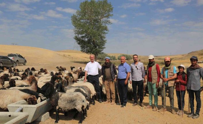 Tuşba Belediyesinden kırsal mahallelere sıvat desteği