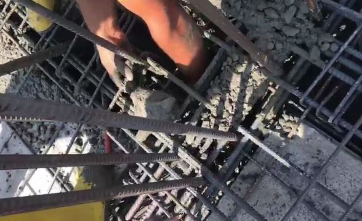 Üzerine yanlışlıkla beton dökülen yavru kedi işçiler tarafından kurtarıldı