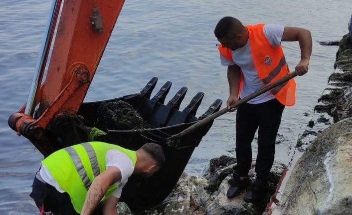 Yalova Belediyesi’nin yosunla mücadelesi devam ediyor