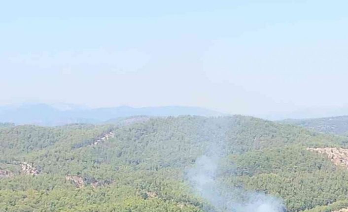 Alanya’da orman yangınında 2 dönüm alan zarar gördü