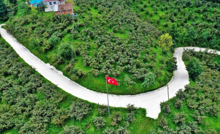 Altınordu’da beton yol çalışmaları sürüyor