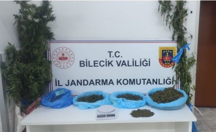 Bilecik’te uyuşturucu operasyonunda 2 gözaltı