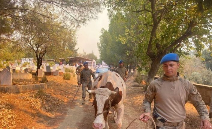 Jandarma ekipleri Mersin’deki yangın söndürme çalışmalarına destek veriyor