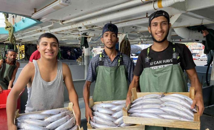 Karadeniz’de palamut bereketi devam ediyor