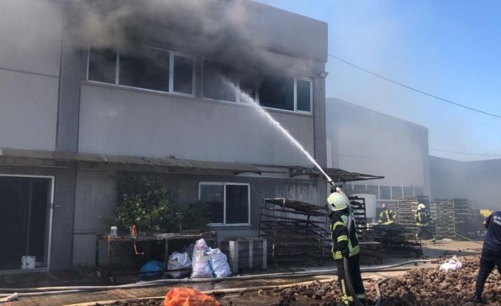 Manisa’da fabrika yangını