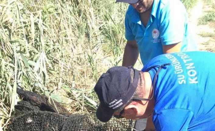 Menderes Nehri’nde sahipsiz ağlar imha edildi