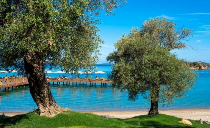 Rixos Olive Fest için geri sayım başladı