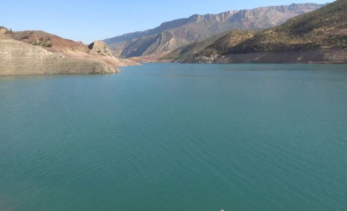 Siirt’te kaçak avcılara jandarmadan suçüstü