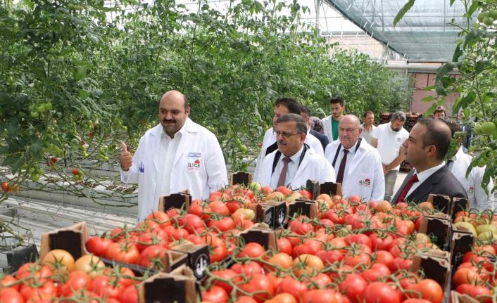 Tarım Kredi kurmayları termal seralara hayran kaldı