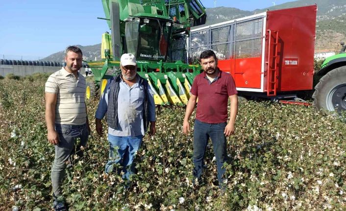 Türkiye’nin pamuk ambarı Söke’de ’beyaz altın’ hasadı başladı