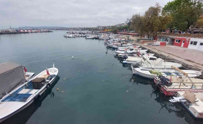 10 günlük esaret bitti: Şimdi de yunuslarla başları belada