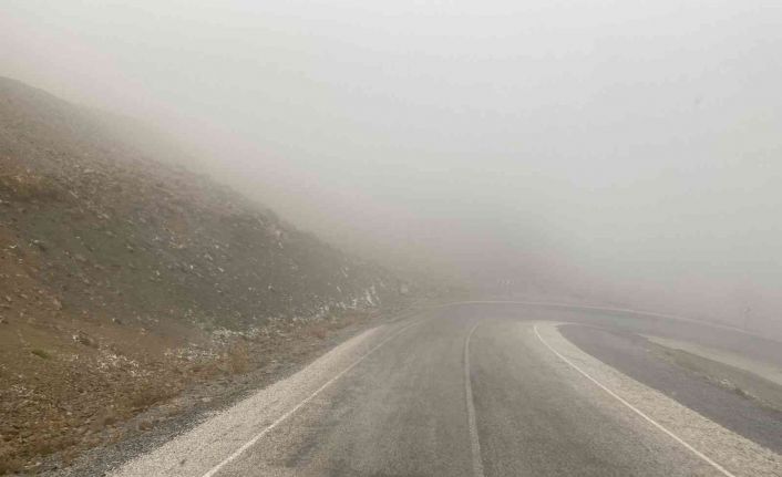 Bahçesaray’da kar yağışı