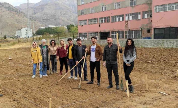 Batman’da Mereto Dağı eteklerinde ilk defa aspir bitkisi yetiştirilecek