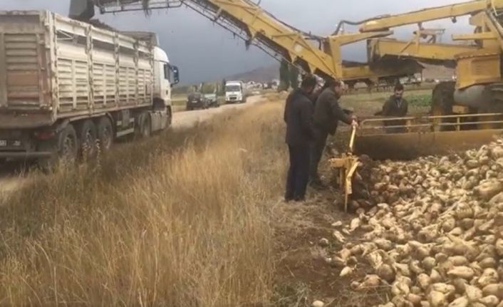 Bayburt’ta bu yıl hedeflenen şeker pancarı üretimi 100 bin ton