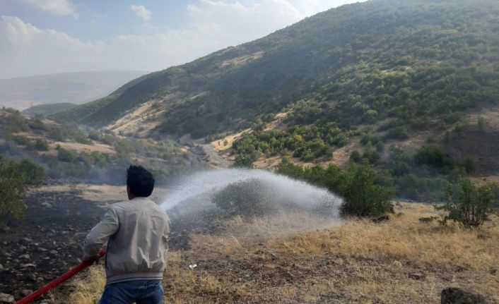 Bingöl’de çıkan örtü yangını söndürüldü