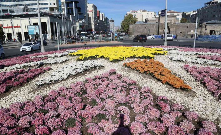 Büyükşehir, sonbaharda 1 milyon çiçek dikti