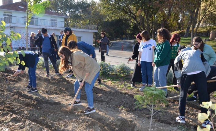 Cumhuriyet Bayramı nedeniyle lale dikimi etkinliği gerçekleşti