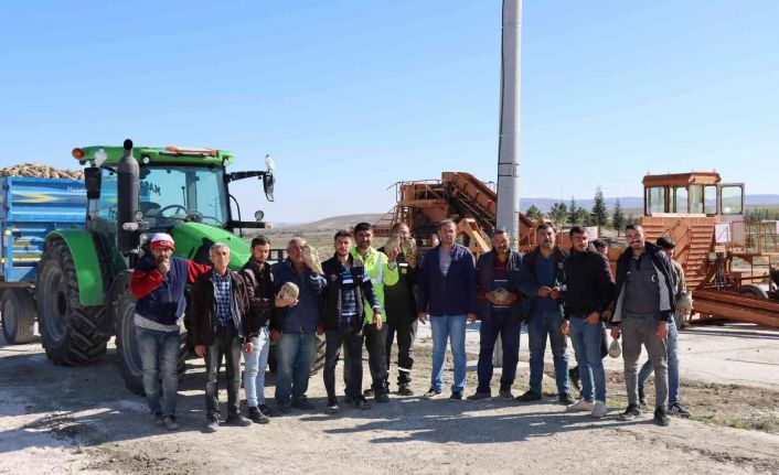 Günyüzü’nde şeker pancarı alımına başlandı