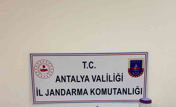 Jandarmadan uyuşturucu baskını