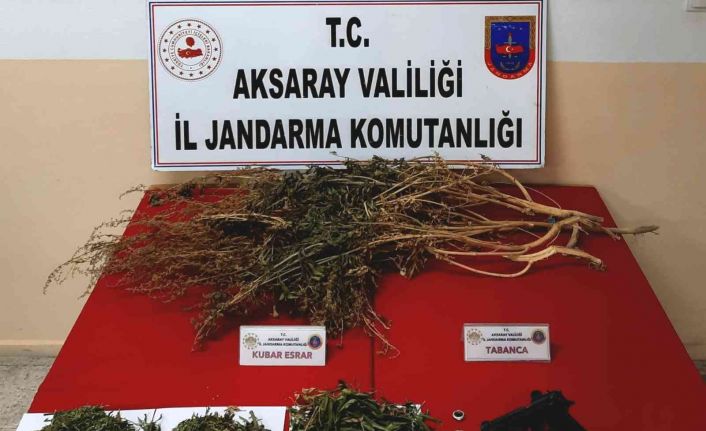 Jandarmanın operasyonunda uyuşturucu ve tabanca ele geçirildi