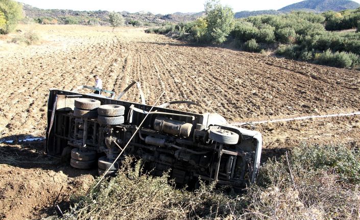 Kontrolden çıkan süt kamyoneti tarlaya uçtu: 1 yaralı