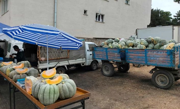 Mihalıççık’ta 30 kiloluk dev balkabaklarına ilgi yoğun