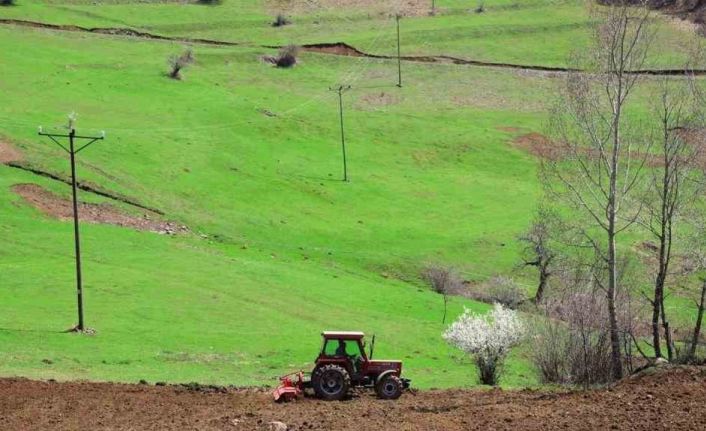 Ordu’da 18 bin dönüm atıl arazi üretime kazandırıldı