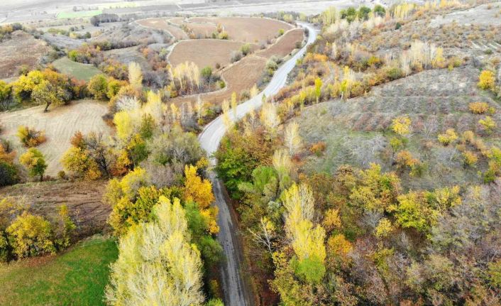 Sonbahardan kışa geçişte renk cümbüşü oluşturan ağaçlar farklı güzelliğe büründü