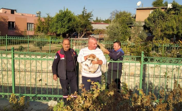 Sulama kanalına düşen yavru köpeği itfaiye kurtardı