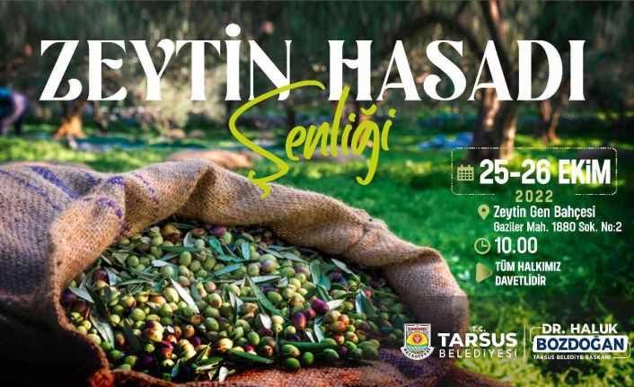 Tarsus Zeytin Hasat Şenliği yarın başlıyor