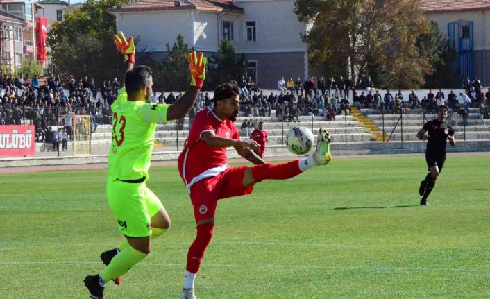 TFF 3. Lig: Karaman FK: 2 - Ayvalıkgücü: 3