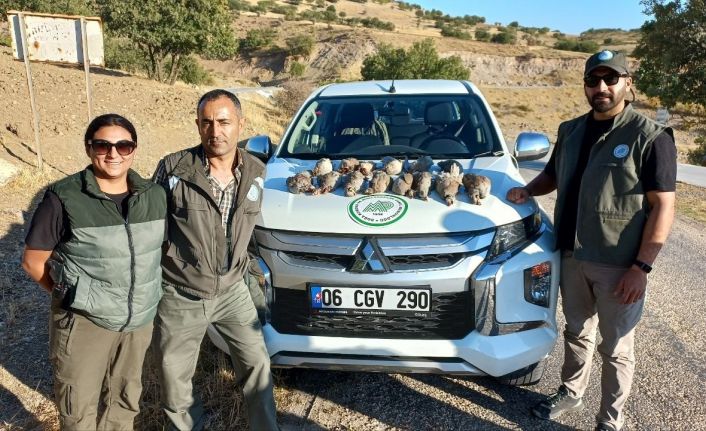 Tunceli’de avlanma ihlali gerçekleştiren 5 kişi hakkında işlem başlatıldı