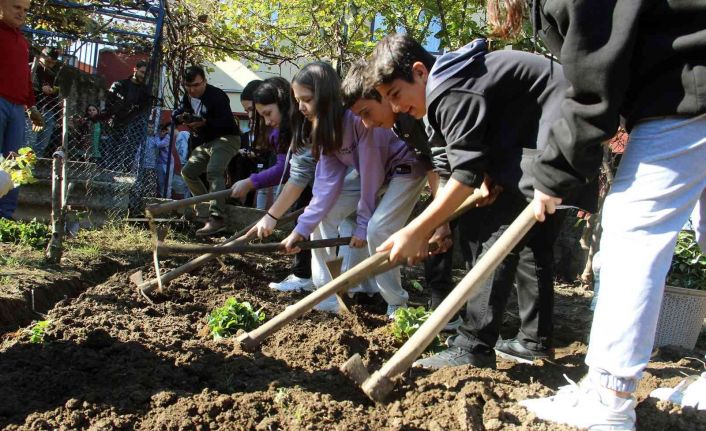 Üretimin önemini anlatmak için öğrencilere tarlada uygulama çilek diktirildi