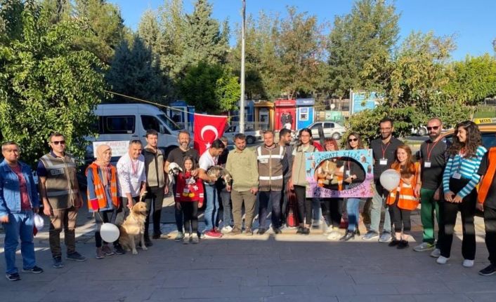 Yardıma muhtaç hayvanlar için bir araya geldiler