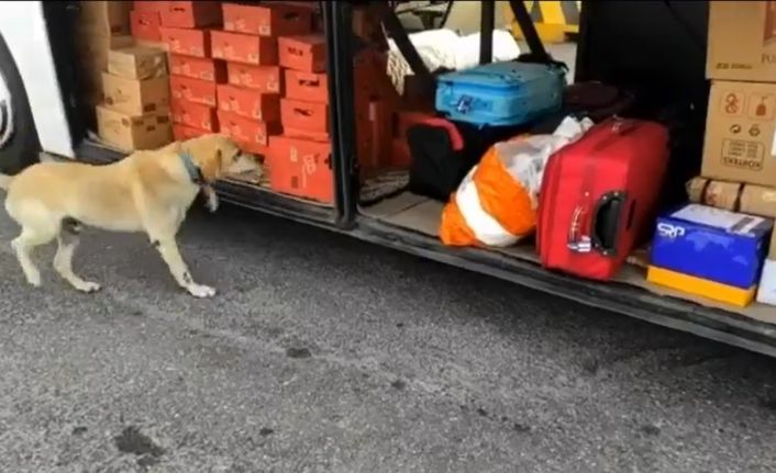 Yolcu otobüsünde 12 kilo uyuşturucu ele geçirildi