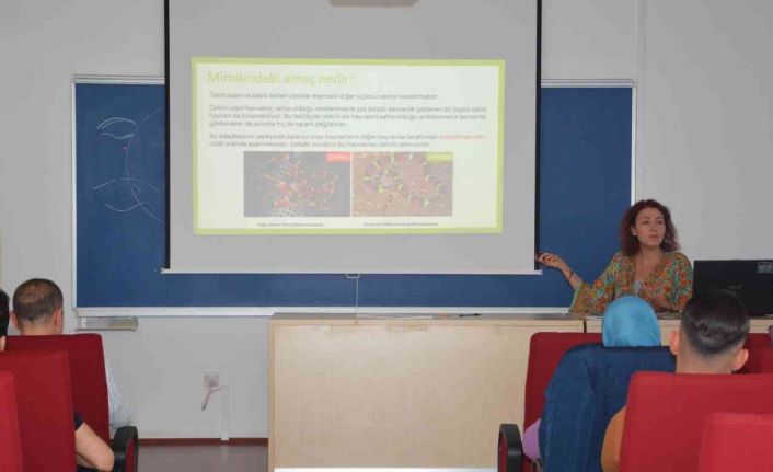 Yunus Emre Sağlık Hizmetleri Meslek Yüksekokulu’ndan “Mimikri ve Mimesis Semineri”