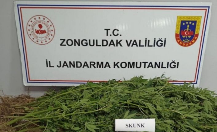 Zonguldak’ta uyuşturucu operasyonu