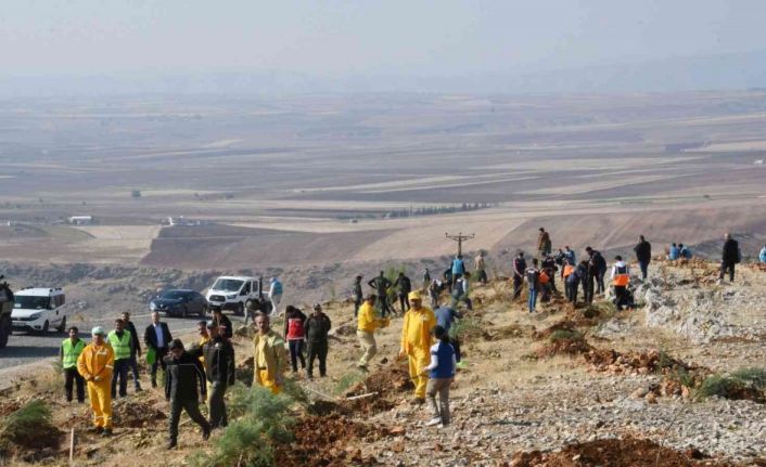 Adıyaman’da, fidanlar toprakla buluşturuldu