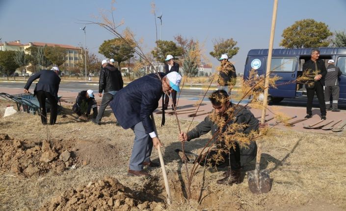 ASÜ’de 435 fidan toprakla buluşturuldu