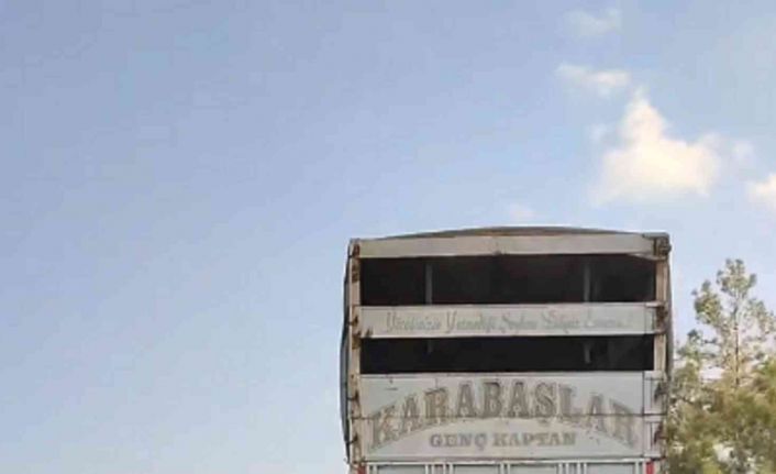 Aydın-Muğla karayolunda bisikletle tehlikeli yolculuk kamerada
