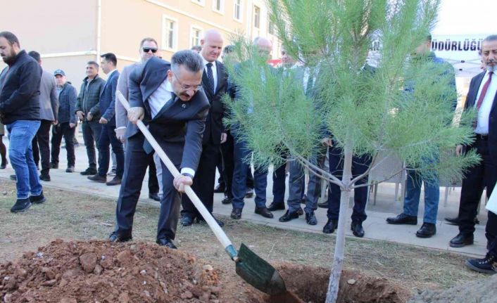 Aydın’da 109 bin fidan toprakla buluştu