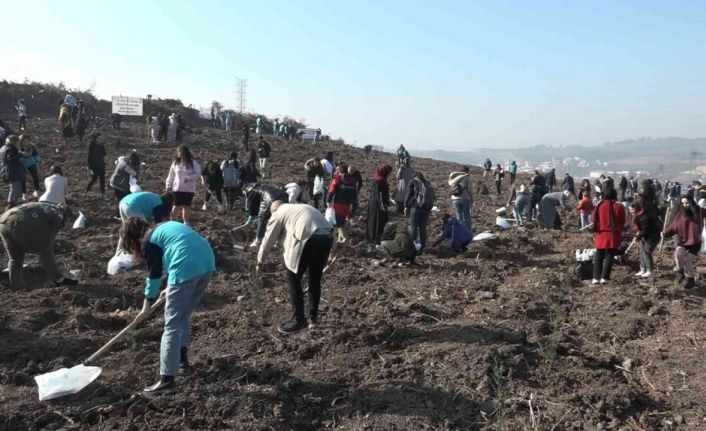 Bursa’da 50 bin fidan toprakla buluştu