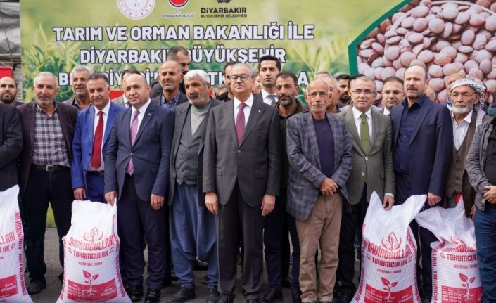 Diyarbakırlı çiftçilere kırmızı mercimek tohumu desteği