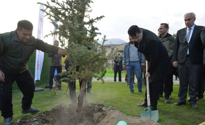 Doğa harikası Tortum Şelalesi’nin çehresi yeni dikilen fidanlarla değişecek