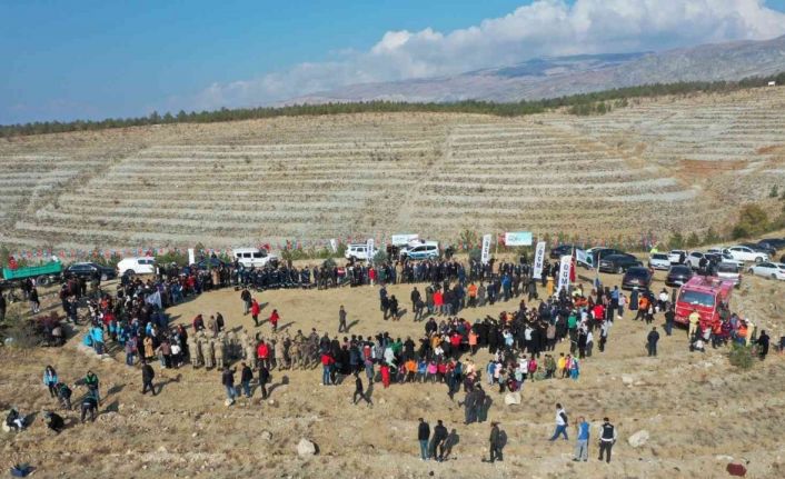 Erzincan’da 410 dönüm alanda 36 bin adet fidan toprakla buluşturuldu