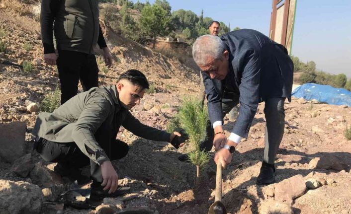 Gelecek için binlerce fidan diktiler